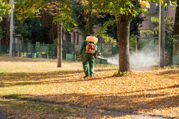 Bird Control in Valley Cottage, NY