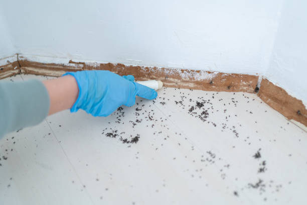 Best Pest Removal Services  in Valley Cottage, NY