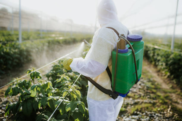 Best Ant Control Services  in Valley Cottage, NY